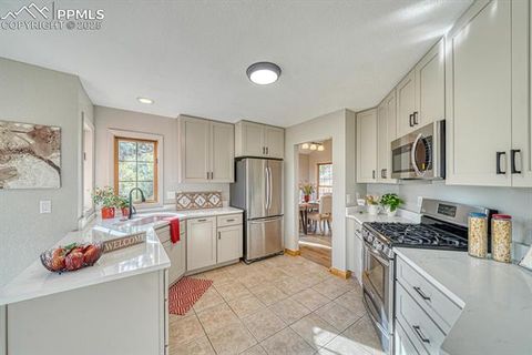 Tiny photo for 318 Southgate Road, Florissant, CO 80816 (MLS # 3787616)