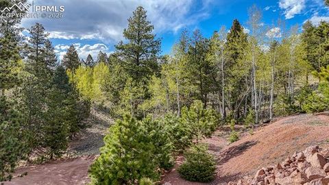 Tiny photo for 318 Southgate Road, Florissant, CO 80816 (MLS # 3787616)