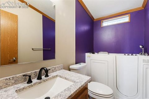 Tiny photo for 1046 Indiana Avenue, Canon City, CO 81212 (MLS # 5917506)