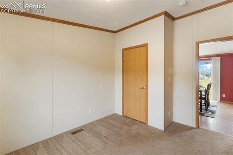 Tiny photo for 1046 Indiana Avenue, Canon City, CO 81212 (MLS # 5917506)