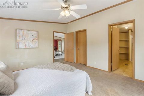 Tiny photo for 1046 Indiana Avenue, Canon City, CO 81212 (MLS # 5917506)