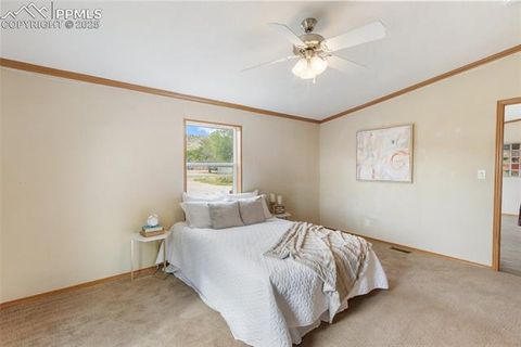 Tiny photo for 1046 Indiana Avenue, Canon City, CO 81212 (MLS # 5917506)