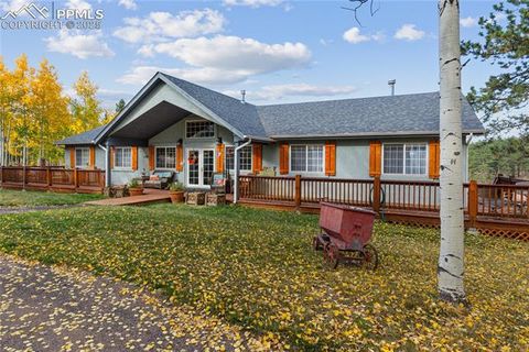 266 University Drive Woodland Park CO 80863