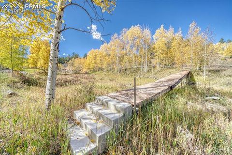 Tiny photo for 294 Vista de Agua Road, Westcliffe, CO 81252 (MLS # 1860758)