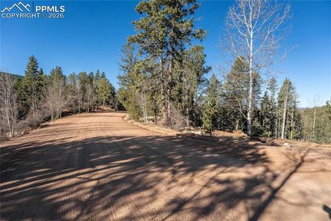 Photo of 565 Fairview Drive, Cripple Creek, CO 80813 (MLS # 3009775)