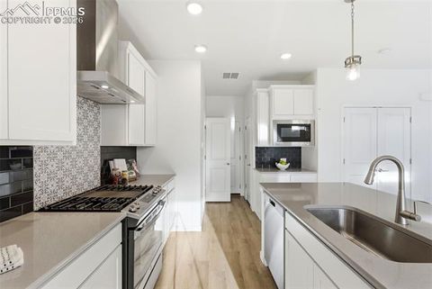 Tiny photo for 9185 Meccano Point, Colorado Springs, CO 80924 (MLS # 1309934)