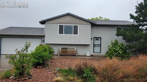 270 W Baldwyn Drive Pueblo CO 81007