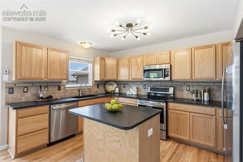 Tiny photo for 459 Assay Court, Colorado Springs, CO 80905 (MLS # 1542335)
