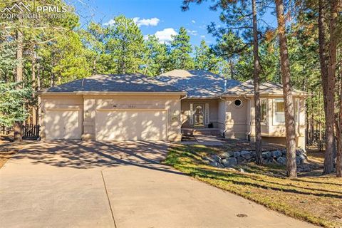 Photo of 1669 Goldpeak Court, Colorado Springs, CO 80921 (MLS # 2287984)