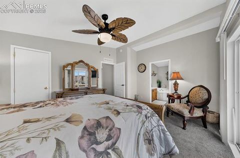 Tiny photo for 4024 Gray Fox Heights, Colorado Springs, CO 80922 (MLS # 1963903)