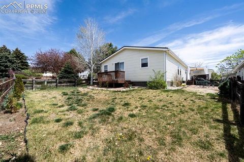 Tiny photo for 4024 Gray Fox Heights, Colorado Springs, CO 80922 (MLS # 1963903)