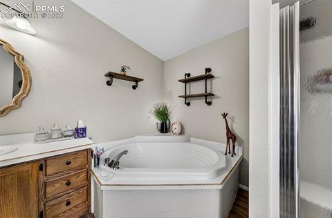 Tiny photo for 4024 Gray Fox Heights, Colorado Springs, CO 80922 (MLS # 1963903)