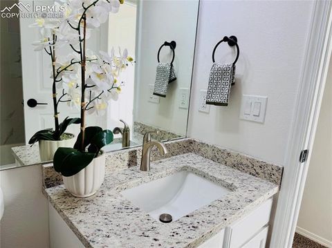 Tiny photo for 1998 Lattern Court, Colorado Springs, CO 80951 (MLS # 7532576)