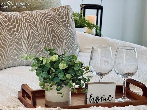 Tiny photo for 1998 Lattern Court, Colorado Springs, CO 80951 (MLS # 7532576)