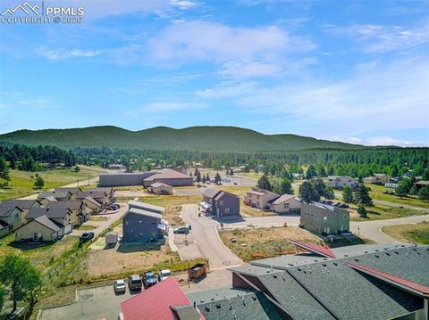 Tiny photo for 755 Apache Trail #10, Woodland Park, CO 80863 (MLS # 2569826)