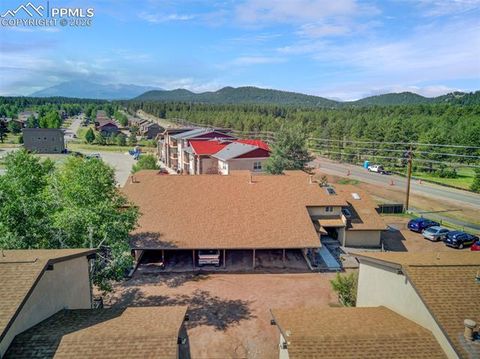 Tiny photo for 755 Apache Trail #10, Woodland Park, CO 80863 (MLS # 2569826)