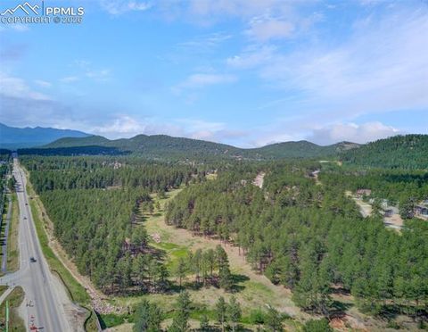 Tiny photo for 755 Apache Trail #10, Woodland Park, CO 80863 (MLS # 2569826)