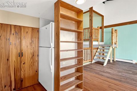 Tiny photo for 755 Apache Trail #10, Woodland Park, CO 80863 (MLS # 2569826)