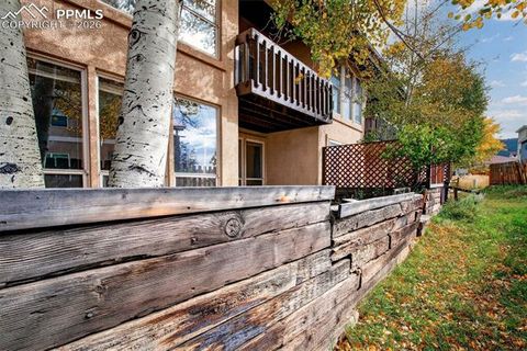Tiny photo for 755 Apache Trail #10, Woodland Park, CO 80863 (MLS # 2569826)