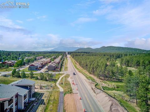 Tiny photo for 755 Apache Trail #10, Woodland Park, CO 80863 (MLS # 2569826)