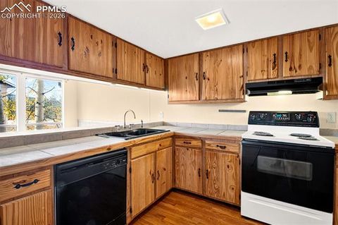 Tiny photo for 755 Apache Trail #10, Woodland Park, CO 80863 (MLS # 2569826)