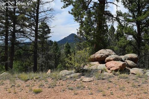 Photo of 93 Kiowa Creek Trail, Florissant, CO 80816 (MLS # 5891144) Photo of 93 Kiowa Creek Trail, Florissant, CO 80816 (MLS # 5891144)