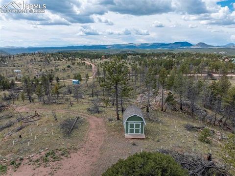 Photo of 224 Chapparal Trail, Florissant, CO 80816 (MLS # 1627084)