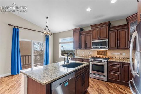 Tiny photo for 7763 Buckeye Tree Lane, Colorado Springs, CO 80927 (MLS # 5256359)