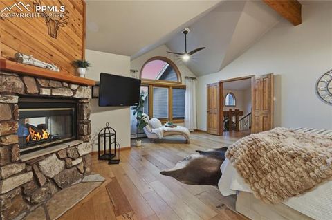 Tiny photo for 580 Sunny Glen Court, Woodland Park, CO 80863 (MLS # 5211398)