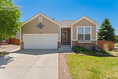 Photo of 7225 Village Meadows Drive, Fountain, CO 80817 (MLS # 8325792)