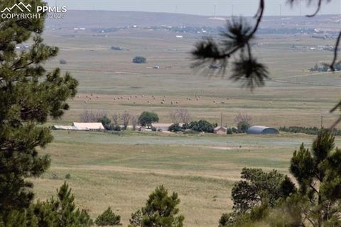 Photo of 7 Mcclelland Road, Calhan, CO 80808 (MLS # 6266889) Photo of 7 Mcclelland Road, Calhan, CO 80808 (MLS # 6266889)