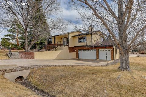 Photo of 355 Palm Springs Drive, Colorado Springs, CO 80921 (MLS # 1729988)