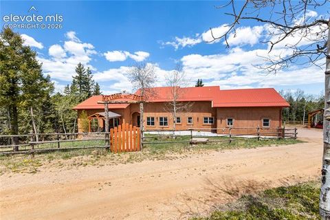Photo of 153 Moss Rock Court, Divide, CO 80814 (MLS # 8594853)