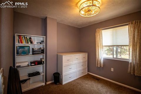 Tiny photo for 10 Ollie Court, Woodland Park, CO 80863 (MLS # 4327413)