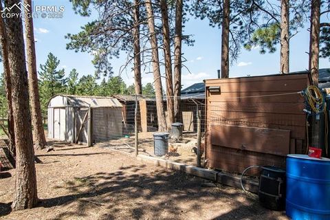Tiny photo for 10 Ollie Court, Woodland Park, CO 80863 (MLS # 4327413)