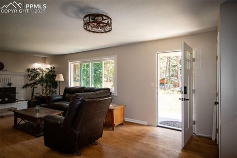 Tiny photo for 10 Ollie Court, Woodland Park, CO 80863 (MLS # 4327413)
