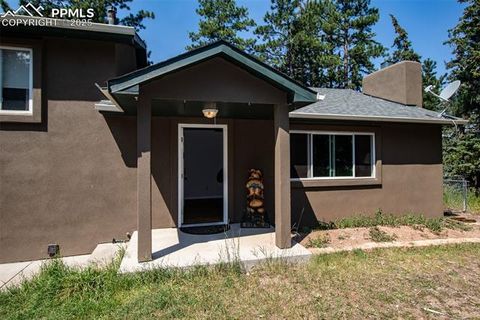 Tiny photo for 10 Ollie Court, Woodland Park, CO 80863 (MLS # 4327413)