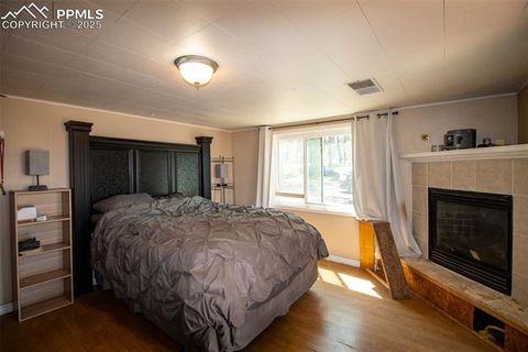 Tiny photo for 10 Ollie Court, Woodland Park, CO 80863 (MLS # 4327413)