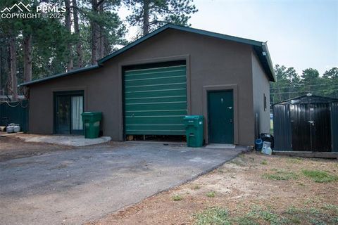 Tiny photo for 10 Ollie Court, Woodland Park, CO 80863 (MLS # 4327413)