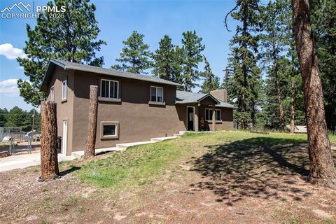 Tiny photo for 10 Ollie Court, Woodland Park, CO 80863 (MLS # 4327413)