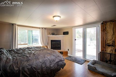 Tiny photo for 10 Ollie Court, Woodland Park, CO 80863 (MLS # 4327413)