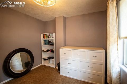 Tiny photo for 10 Ollie Court, Woodland Park, CO 80863 (MLS # 4327413)