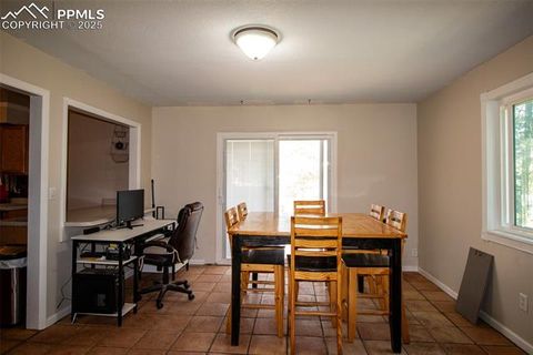 Tiny photo for 10 Ollie Court, Woodland Park, CO 80863 (MLS # 4327413)