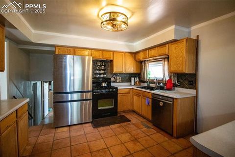 Tiny photo for 10 Ollie Court, Woodland Park, CO 80863 (MLS # 4327413)