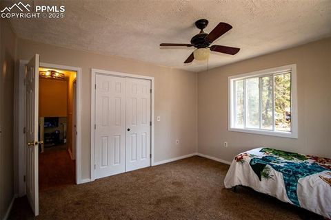 Tiny photo for 10 Ollie Court, Woodland Park, CO 80863 (MLS # 4327413)
