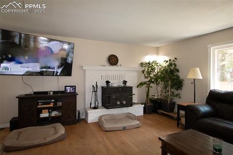 Tiny photo for 10 Ollie Court, Woodland Park, CO 80863 (MLS # 4327413)