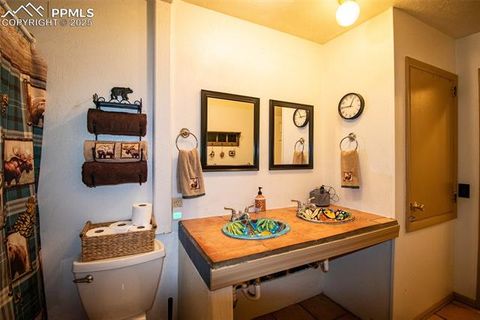 Tiny photo for 10 Ollie Court, Woodland Park, CO 80863 (MLS # 4327413)