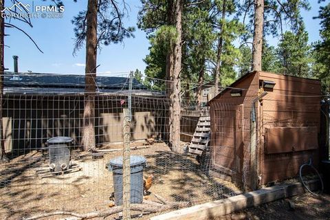 Tiny photo for 10 Ollie Court, Woodland Park, CO 80863 (MLS # 4327413)