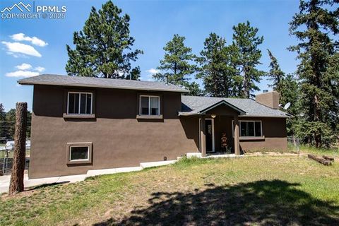 Photo of 10 Ollie Court, Woodland Park, CO 80863 (MLS # 4327413) Photo of 10 Ollie Court, Woodland Park, CO 80863 (MLS # 4327413)