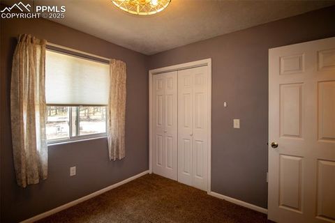 Tiny photo for 10 Ollie Court, Woodland Park, CO 80863 (MLS # 4327413)